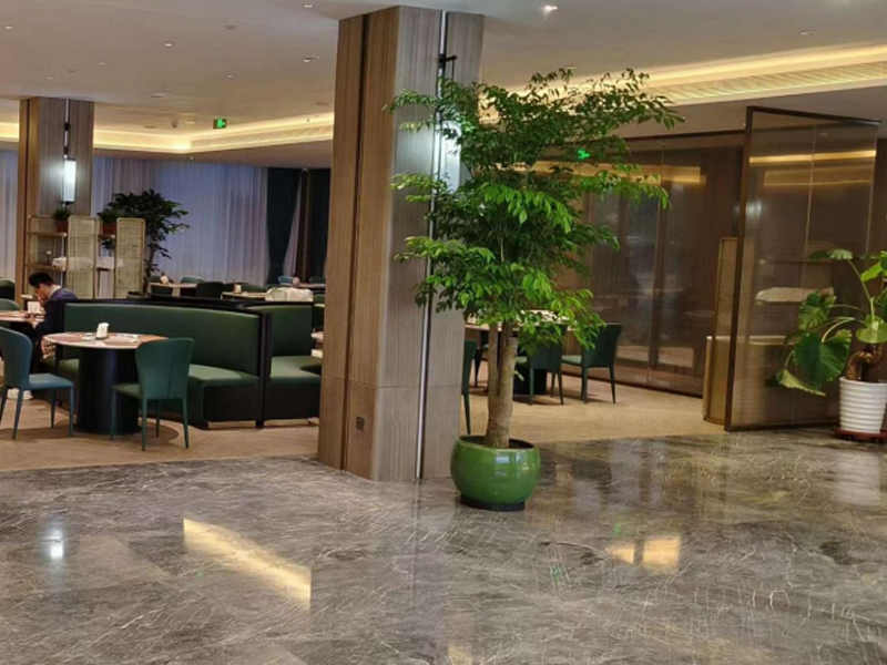 承德蓝海大酒店大堂家具